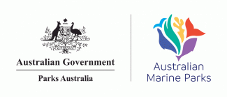 AMP Parks logo