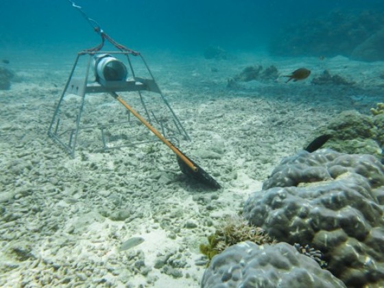 Baited Remote Underwater Video System