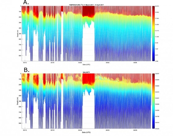 Temperature and salinity profiles in the Bremer Bay marine region