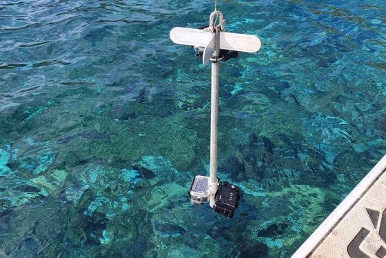 Survey equipment used for marine habitat ground-truthing, including a Go Pro hero 9 camera, an LED light array and an electric fishing rod