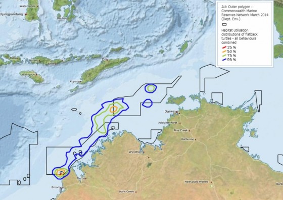 Habitat utilisation distributions of flatback turtles in the Kimberley marine region
