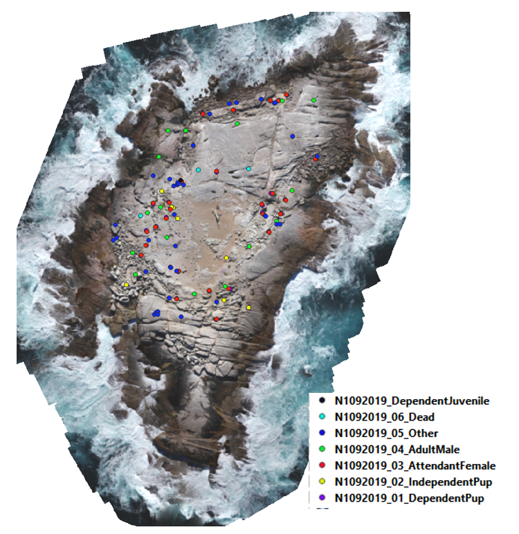 Analyse composite photos of remote Australia sea lion colonies