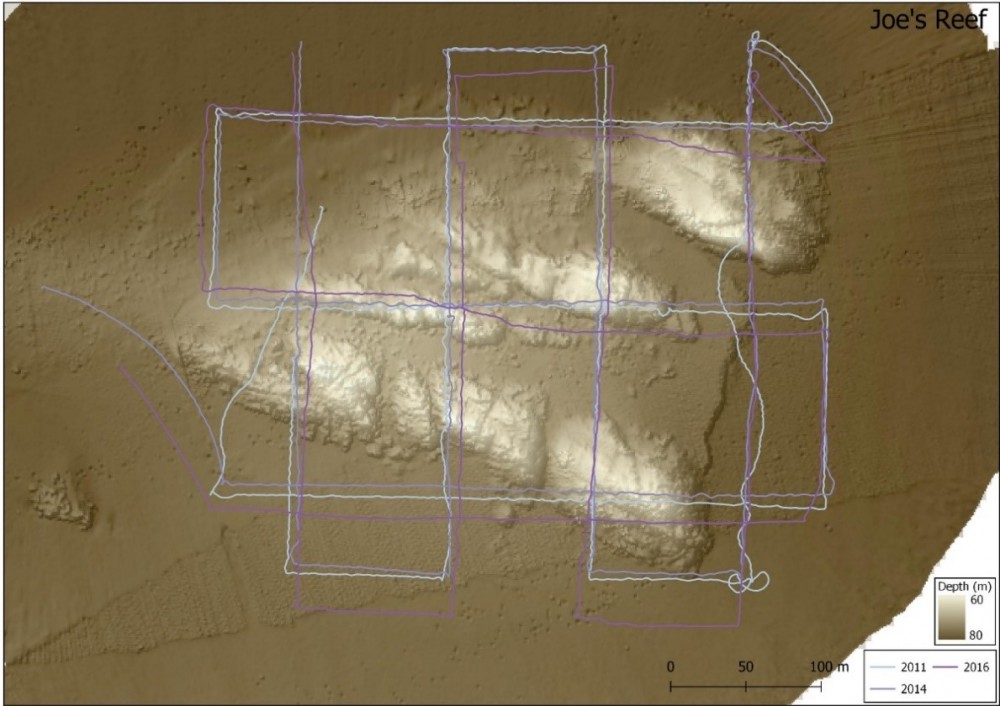 Track lines of AUV surveys conducted at Joe’s Reef in Freycinet Marine Park in 2011, 2014 and 2016