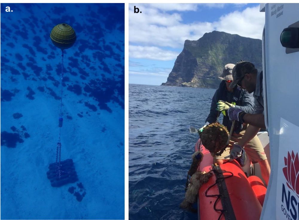 LH MP Acoustic Receiver Mooring Setups