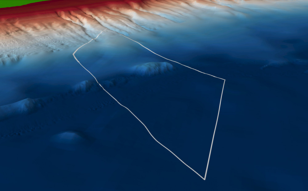 Nelson Overview 3 D