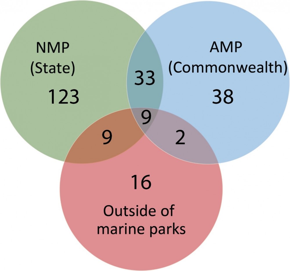 Venn diagram showing the overlap of sponge biodiversity 