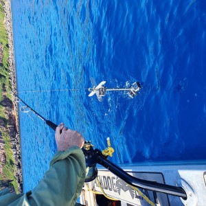 Survey equipment used for marine habitat ground-truthing, including a Go Pro hero 9 camera, an LED light array and an electric fishing rod