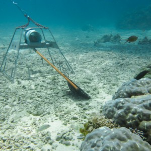 Baited Remote Underwater Video System