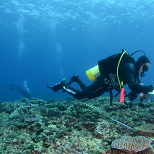 Middleton Reef, Lord Howe Marine Park