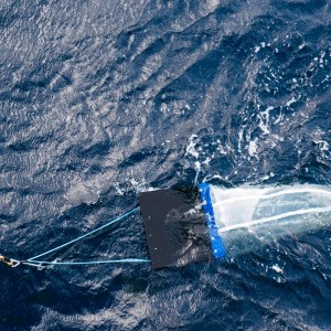 Manta net