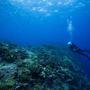 Diver in Christmas Island