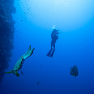 Diver in Christmas Island