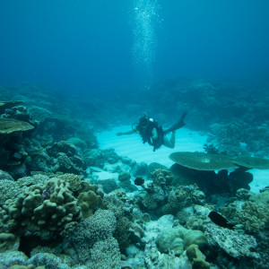 Diver in Cocos (Keeling) Islands