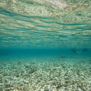 Diver in Cocos (Keeling) Islands