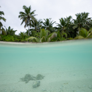 Cocos (Keeling) Islands