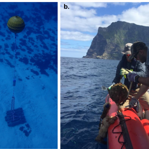 LH MP Acoustic Receiver Mooring Setups