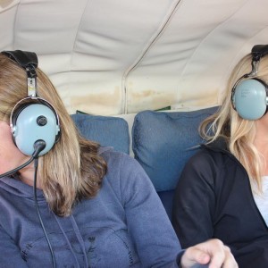 Aerial surveys