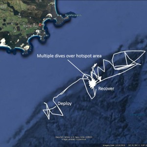 GPS track of the Sea Glider