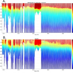 Temperature and salinity profiles in the Bremer Bay marine region