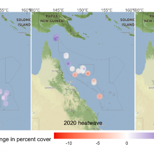 Changes in hard coral cover between 2016 - 2020