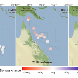 Changes in fish biomass between 2016 - 2020