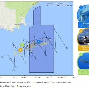 Wildlife and oceanographic surveys of the Bremer Marine Park