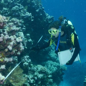 Reef Life Survey diver